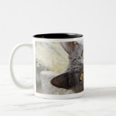 Tasse 2 Couleurs Chat gris se situant dans le pot, Olargues, (Gauche)
