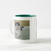 Tasse 2 Couleurs Chat - la vie est bonne (Devant gauche)