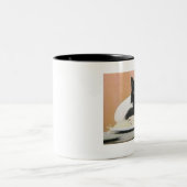 Tasse 2 Couleurs Chat mangeant des spaghetti (Centre)