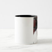 Tasse 2 Couleurs chat noir et blanc (Centre)