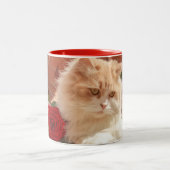 Tasse 2 Couleurs Chat persan (Centre)
