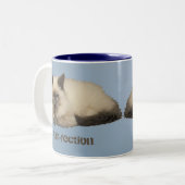 Tasse 2 Couleurs Chat persan (Devant gauche)