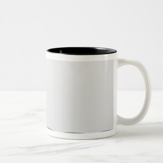 Tasse 2 Couleurs Chat se reposant et léchant près de la cuvette (Droit)
