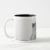Tasse 2 Couleurs Chat se reposant et léchant près de la cuvette (Gauche)