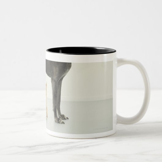 Tasse 2 Couleurs Chat se reposant sous great dane (Droit)