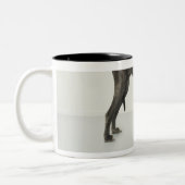 Tasse 2 Couleurs Chat se reposant sous great dane (Gauche)