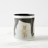 Tasse 2 Couleurs Chat se reposant sous great dane (Centre)