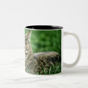 Tasse 2 Couleurs Chat se situant dans l'herbe