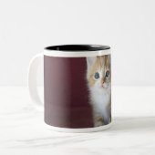 Tasse 2 Couleurs Chat sur le sofa (Devant gauche)