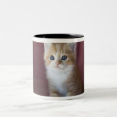 Tasse 2 Couleurs Chat sur le sofa (Centre)