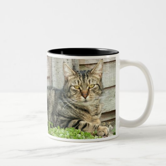 Tasse 2 Couleurs Chat tigré (Droit)