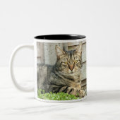Tasse 2 Couleurs Chat tigré (Gauche)