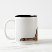 Tasse 2 Couleurs Chat tigré orange (Gauche)