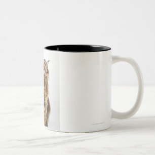 Tasse 2 Couleurs Chat tigré principal classique Brown de ragondin