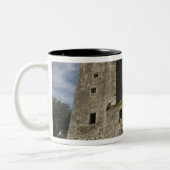 Tasse 2 Couleurs Château de Blarney, Irlande (Gauche)