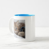 Tasse 2 Couleurs Chaton avec des yeux bleus (Devant gauche)