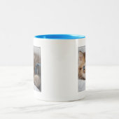 Tasse 2 Couleurs Chaton avec des yeux bleus (Centre)