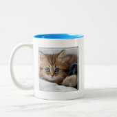 Tasse 2 Couleurs Chaton avec des yeux bleus (Gauche)