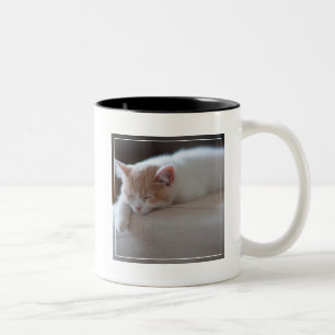 Tasse 2 Couleurs Chaton beige et blanc fatigué