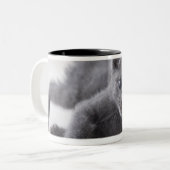 Tasse 2 Couleurs Chaton bleu russe (Devant gauche)