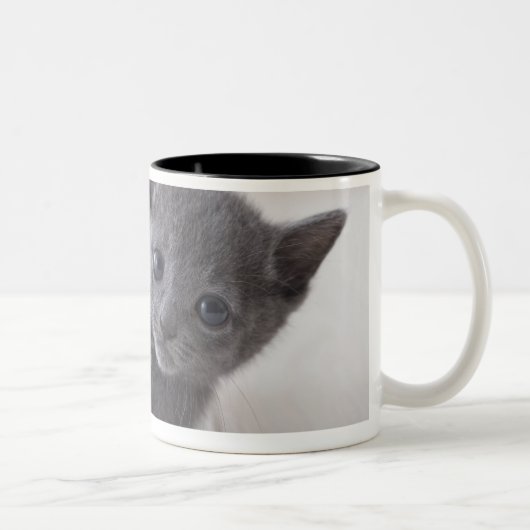 Tasse 2 Couleurs Chaton bleu russe (Droit)
