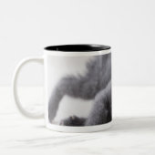 Tasse 2 Couleurs Chaton bleu russe (Gauche)