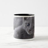 Tasse 2 Couleurs Chaton bleu russe (Centre)