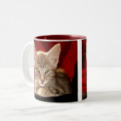 Tasse 2 Couleurs Chaton de Hemingway (Devant gauche)