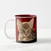 Tasse 2 Couleurs Chaton de Hemingway (Gauche)