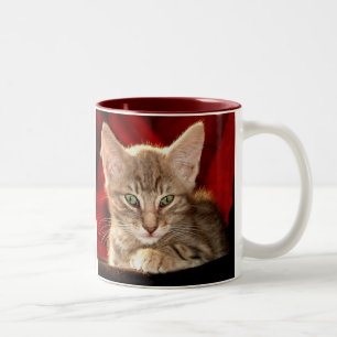 Tasse 2 Couleurs Chaton de Hemingway