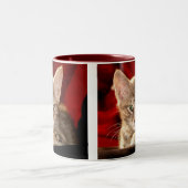 Tasse 2 Couleurs Chaton de Hemingway (Centre)