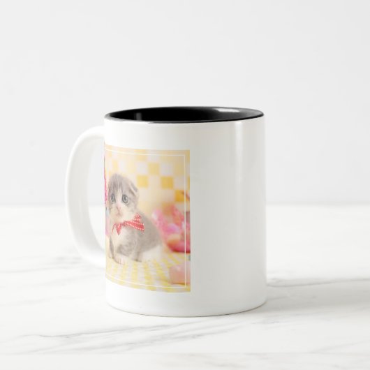 Tasse 2 Couleurs Chaton de Munchkin (Devant gauche)