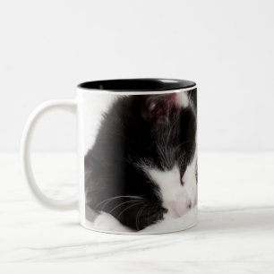 Tasse 2 Couleurs Chaton de sommeil