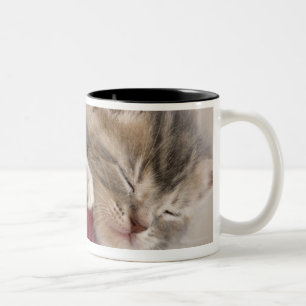 Tasse 2 Couleurs Chaton dormant dans la cuvette