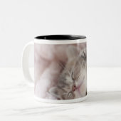 Tasse 2 Couleurs Chaton dormant sur la serviette (Devant gauche)