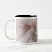 Tasse 2 Couleurs Chaton dormant sur la serviette (Gauche)