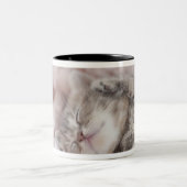 Tasse 2 Couleurs Chaton dormant sur la serviette (Centre)