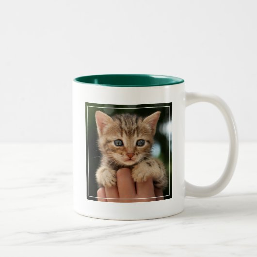 Tasse 2 Couleurs Chaton doux de bébé (Droit)