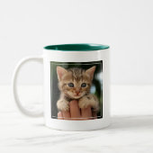 Tasse 2 Couleurs Chaton doux de bébé (Gauche)