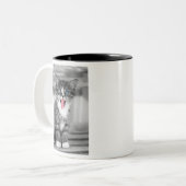 Tasse 2 Couleurs Chaton drôle (Devant gauche)