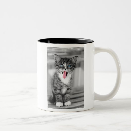 Tasse 2 Couleurs Chaton drôle (Droit)