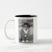 Tasse 2 Couleurs Chaton drôle (Gauche)