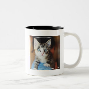 Tasse 2 Couleurs Chaton observé par bleu lumineux