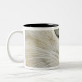 Tasse 2 Couleurs Chaton, plan rapproché 2 (Gauche)