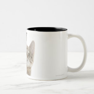Tasse 2 Couleurs Chaton se tenant sur les pattes arrières