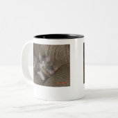 Tasse 2 Couleurs Chatons (Devant gauche)