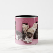 Tasse 2 Couleurs Chatons dans la maison de poupée (Centre)