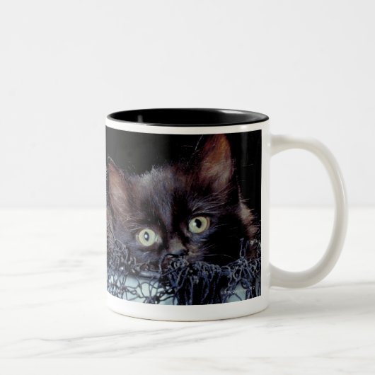 Tasse 2 Couleurs Chatons dans le récipient (Droit)