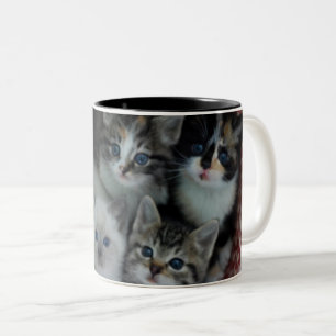 Tasse 2 Couleurs Chatons dans un panier