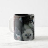 Tasse 2 Couleurs Chatons dans un panier (Devant gauche)